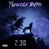 Bigwolf Bvpo - 2:30 - Single
